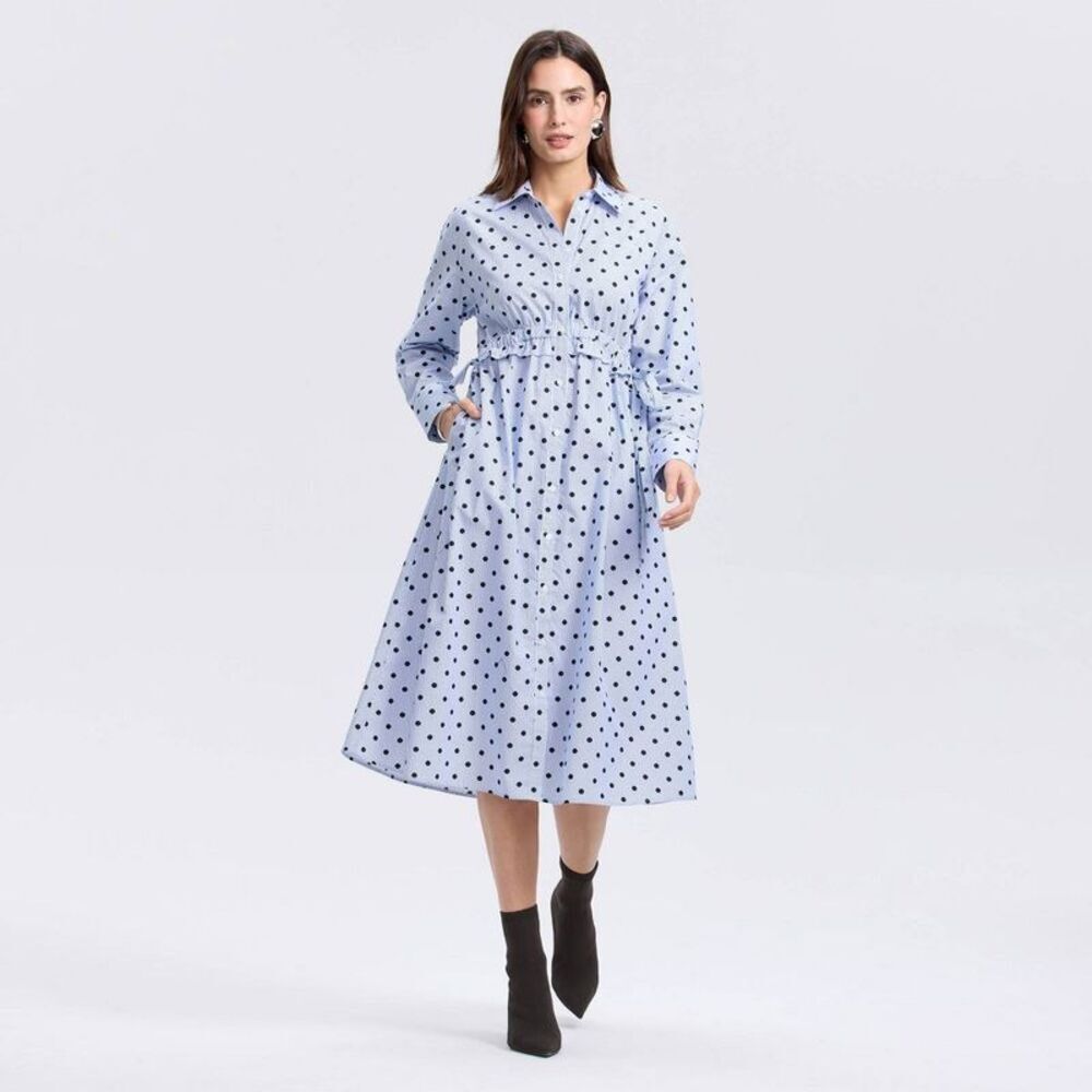 Women's Long Sleeve Midi Shirtdress - A New Day Blue Striped/Dots XS